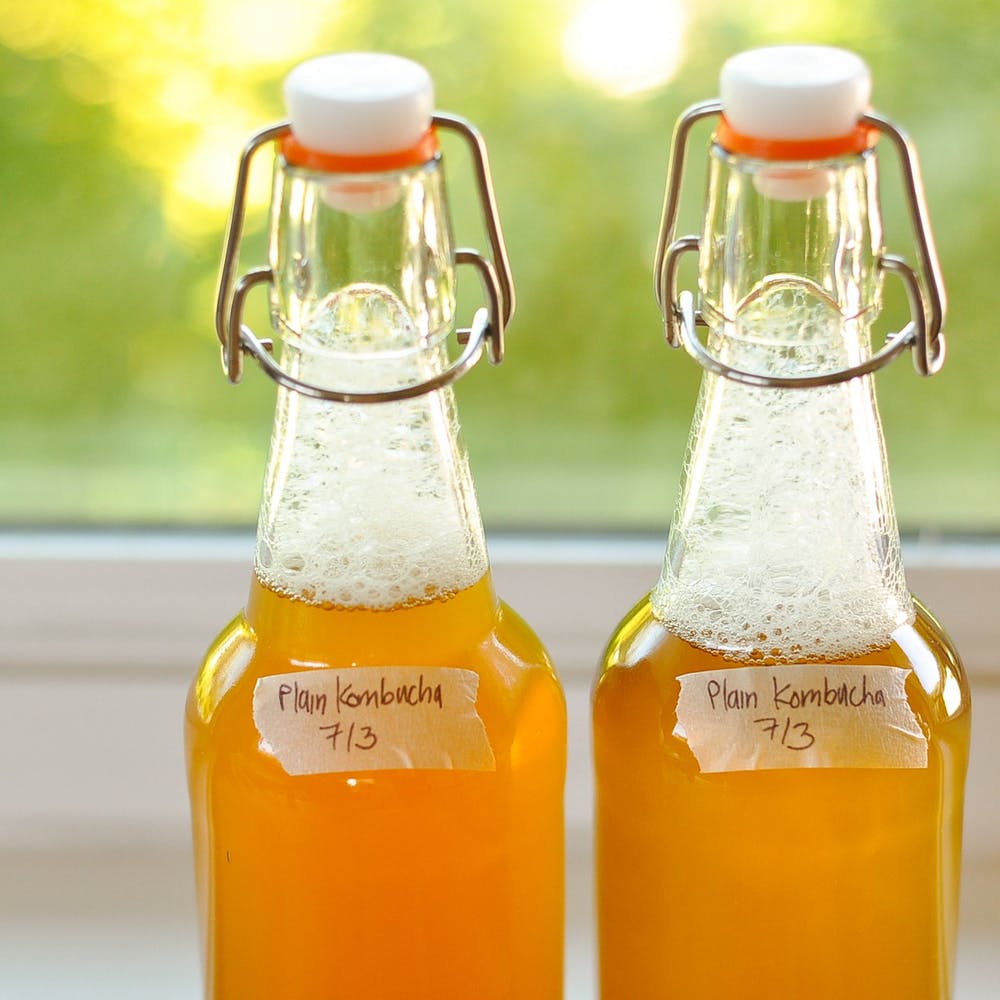 Kitchn's DIY Kombucha