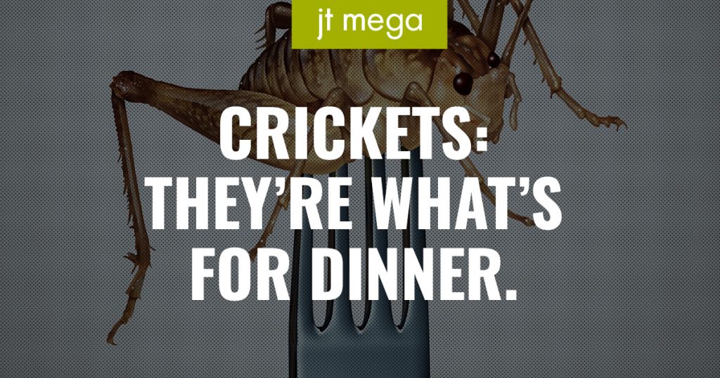 Crickets: They're What's for Dinner